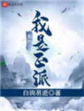 《我真的是正派》封面