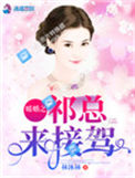 《暖婚之祁总来接驾》封面