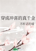 《穿成冲喜的真千金》封面