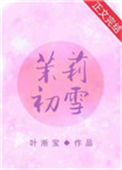 《茉莉初雪》封面