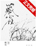 《藏雀》封面
