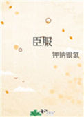 《臣服（作者：钾钠银氢）》封面