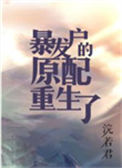 《暴发户的前妻重生了[年代]》封面