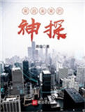 《来自未来的神探》封面