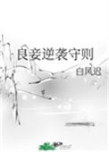 《良妾逆袭守则》封面