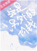 《这是另外的价钱》封面
