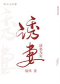 《诱妻为宠》封面