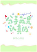 《分手我是认真的！》封面
