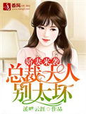 《娇妻来袭，总裁大人别太坏》封面