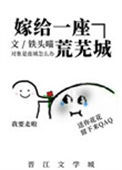 《嫁给一座荒芜城》封面