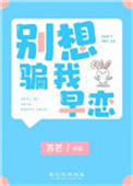 《别想骗我早恋》封面