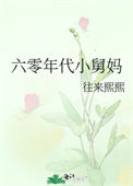 《六零年代小舅妈》封面