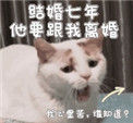 《结婚七年他要跟我离婚》封面
