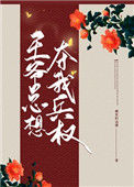 《王爷总想夺我兵权》封面