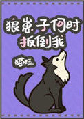 《狼崽子何时扳倒我》封面