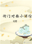 《衙门对面小酒馆》封面