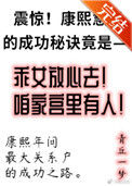 《康熙慧妃的躺赢人生》封面