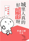 《城里人真的好奇怪呀》封面