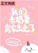 《我的未婚妻离家出走了》封面