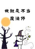 《我就是不当魔法师》封面