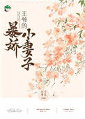 《王爷的暴娇小妻子》封面