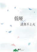 《低哑》封面