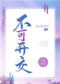 《不可开交》封面