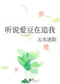《听说爱豆在追我》封面
