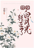 《替身白月光转正了》封面