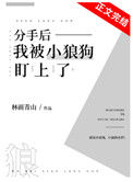 《分手后我被小狼狗盯上了》封面