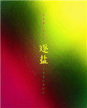 《逐盐》封面