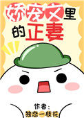 《娇宠文里的正妻》封面