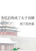 《失忆后我成了太子良娣》封面
