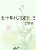 《五十年代结婚日记》封面