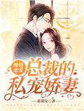 《缠情蜜爱：总裁的私宠娇妻》封面