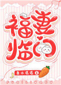 《福妻临门》封面