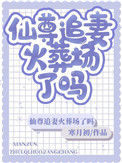《仙尊追妻火葬场了吗》封面