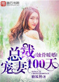 《蚀骨暖婚，总裁宠妻100天》封面