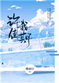 《许我佳期》封面