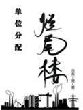 《单位分配烂尾楼》封面