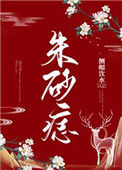《朱砂痣》封面