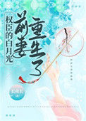 《权臣的白月光前妻重生了》封面