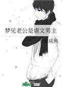 《梦见老公是虐文男主》封面