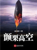 《颤栗高空》封面