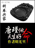 《科举兴家：唐瑾他天生好命》封面