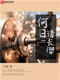 《何日请长缨》封面