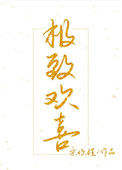 《极致欢喜》封面