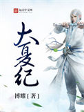 《大夏纪》封面