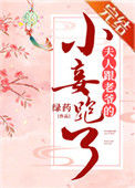 《夫人跟老爷的小妾跑了》封面
