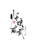 《师娘威武》封面